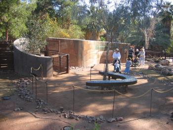 Phoenix Zoo Wallaby Habitat